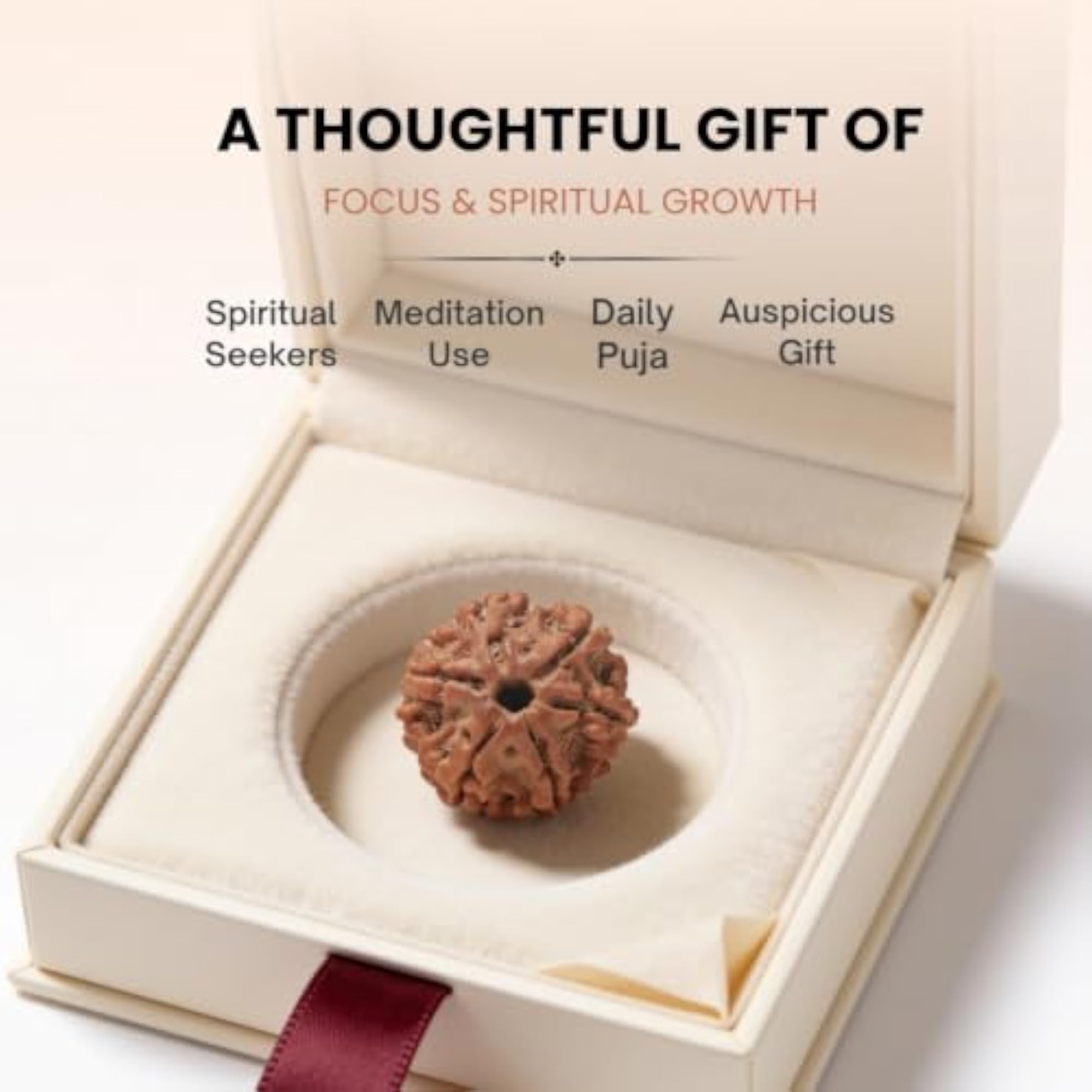Authentic 6 Mukhi Rudraksha Bead for Focus and Willpower