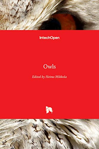 Owls view 2