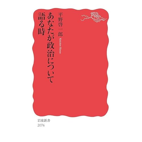 あなたが政治について語る時 岩波新書 新赤版 2076