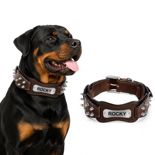 Image of Adil's Personalized Softy Leather Spiked Dog Collar- 1.5 Inch Wide Loop with Spikes Heavy Duty Soft Padded Neckbelt, Sturdy Buckle & D-Ring for Small, Medium & Large Dogs (Chestnut, S(12 inch-16 inch))
