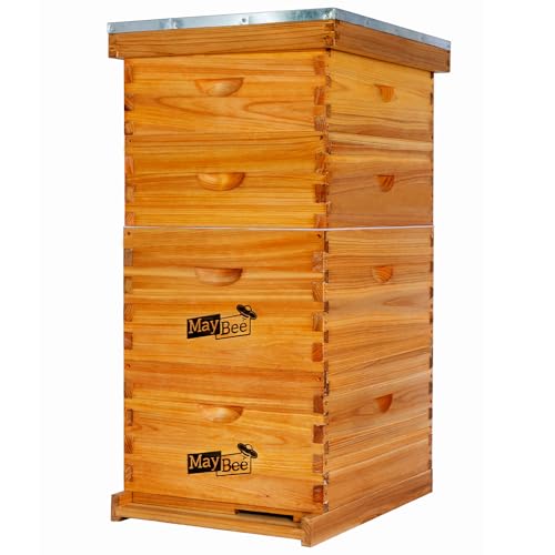 MayBee 10-Frame Langstroth Beehive
