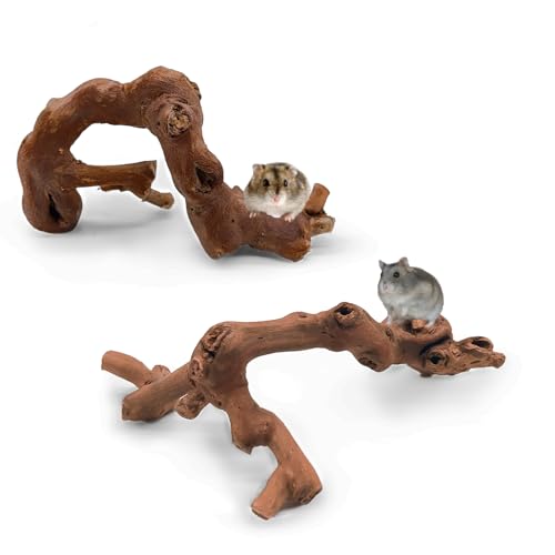 Kathson 2PCS Wooden Hamster Climbing Branches, 5.9 in
