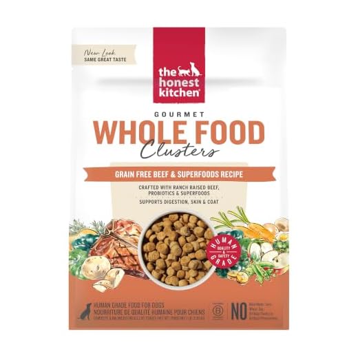 The Honest Kitchen Whole Food Clusters Grain Free Beef Dry Dog Food, 1 lb