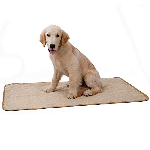 BT Bear Almohadilla de orina para mascotas, impermeable, lavable, antideslizante, superabsorbencia, secado rápido, grande, almohadillas de entrenamiento para sofá, hierba, cama (pequeño-60 x 45 cm) Cover