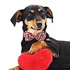 DOGWONG Valentine's Dog Collar with Bow - Cute Heart Bowtie Dog Collars, Adjustable Valentine Pink Candy Heart Pet Design Dog Collar with Quick Release Buckle for Puppy Girl Boy Dogs #4