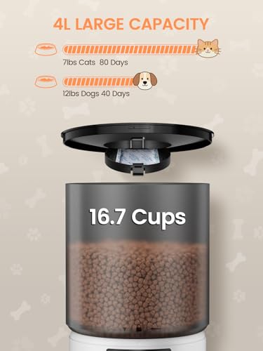 Futterautomat Katze 4 L, Katzenfutter Automat mit Timer 1-6 Mahlzeiten/Tag, Automatischer Futterspender für Katzen & Hunde, Pet Feeder Cat mit Sprachaufnahme 10 Sekunden für kleine/mittlere Haustiere