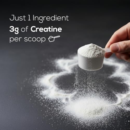Image of Muscle Asylum Creatine Monohydrate Powder - Fruit Punch Flavor, 100g (25 Servings) | Pharmaceutical Grade Pre-Workout for Muscle Growth & Strength