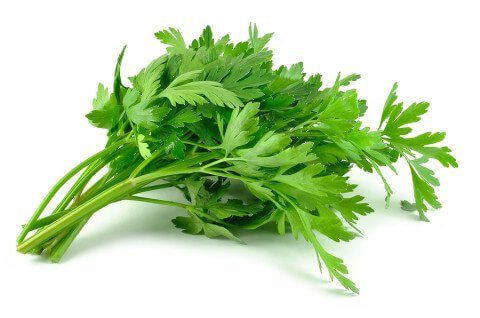 parsley - 50 seed-image-21