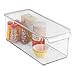 iDesign Plastic Refrigerator and Freezer Storage Bin with Lid, BPA-Free Organizer for Kitchen, Garage, Basement, 6