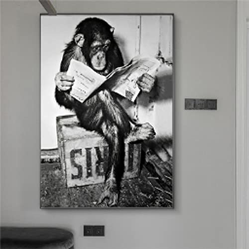 Affiche de toile de singe drôle lisant un journal 35x50 cm sans cadre - 2