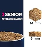 Eukanuba Hundefutter mit frischem Huhn für mittelgroße Rassen, Premium Trockenfutter für Senior Hunde, 15 kg