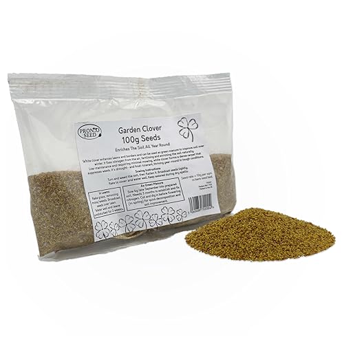 Pronto Seed White Clover Seeds 100g - Fast Growing Winter Ground Cover & Green Manure - Low Maintenance Garden Soil Improver with Nitrogen Fixing Roots - Bird & Bee Friendly (100g)