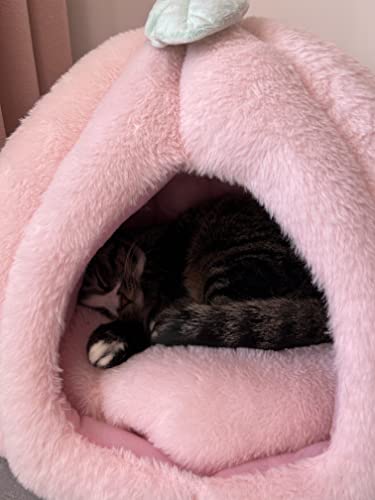 Rozkitch Pink Cat Houses For Indoor Cats, Soft Cat Bed House Tent Cave With Removable Washable Cushion Pillow Pad, Self-Warming Small Animal Pet Hut For Kitten Puppy Small Dogs Small Animal #TOP7
