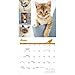 Cat Lovers: 12 X 12 Wall