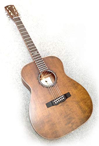 Amazon | MORRIS モーリス FLB-80 DV アコースティックギター