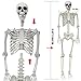 UMEELR 5.4FT Halloween Life Skeleton with Spider, Full Size Skeleton for Halloween Patio Lawn Garden Props Spooky Party Decoration