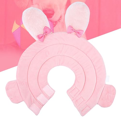 Collier de guérison pour blessures de chat lors du retour à la maison - 6