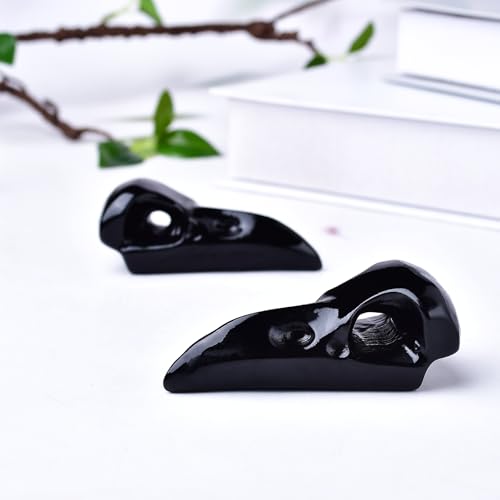 Dzjxbzhu OBSIDIAN RAVEN SKULL-BIG Obsidian Raven Skull Figurine 3.0 Inch Crystal Healing Stone Spiritual Meditation Pocket Figurine Natural Gemston Hand Carved Polished Home Room Office Desk Decoration Gift Collect thumb #2