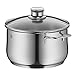 WMF cookware approx 6.5l Diadem Plus pouring rim glass lid Cromargan stainless steel brushed suitable for all stove tops including induction dishwasher safe, 24 cm, Silver