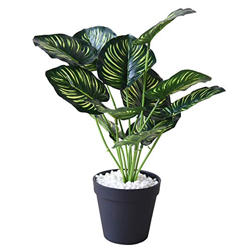 CObVK[fEJeA yRR q AeB[N [sA NVbN CeAG 킢 Pn vZX  ϗtA O[ fUCzyYTS-3938z