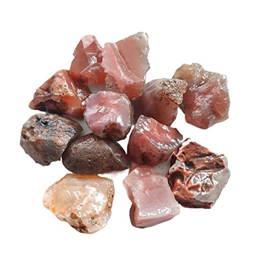 AAKOMA 1��/100g �V�R������� �������� ���m�E�J���Z�h�j�[�̌��� ���� �W�{�R���N�V���� �M�t�g(�J���[:100g�A�T�C�Y:1.5-3cm)