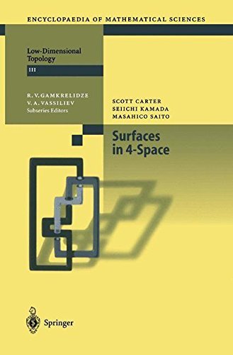 Surfaces in 4-Space (Encyclopaedia of Mathematical Sciences Book 142)