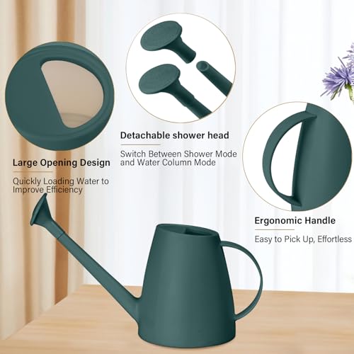 TTAOE GN Plastic Watering Can - for Indoor and Outdoor House Plant Garden - with Long Spout - 1/2 Gallon - Blackish Green
