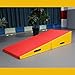 WAZHOU Gymnastics Incline Mat, Folding Incline Tumbling Mats For Gymnastics Training, Martial, Dance Yoga Stretching Training - Easy To Carry & Store(150x70x35cm)