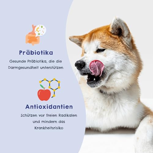 Happy Jacky sensitives High-Premium Nassfutter für Hunde ohne Getreide | 8 Verschiedene Sorten in der Entdeckerbox Multipack | für nahrungssensible Hunde, Zuckerfrei | 8x410g