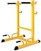 Multi-Function Weight Lifting Home Gym Fitness Adjustable Squat Rack Steel Barbell Rack Dipping Station Dip Stand Bench Press Rack Home Gym Fitness Strength Training Max Load 250 Kg