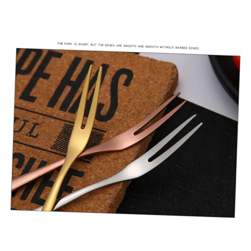 Ciieeo Forchette da Frutta in Acciaio Resistenti e Leggere Forchettine Dessert e Beefsteak con per Picnic e Uso Quotidiano