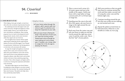 101 Western Dressage Exercises For Horse & Rider (Read & Ride) #TOP5