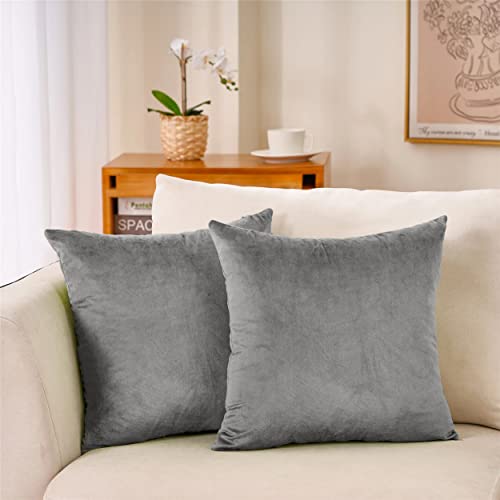 Hafaa Velvet Cushions with Covers Included Set of 4 (2 Grey Cushi...
