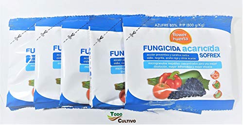 Todo Cultivo Fungicida acaricida azufre mojable contra oidio negrilla araña roja y Otros acaros. Tratamiento para 100 litros.(5 Sobres) Todo Cultivo Fungicida acaricida azufre mojable contra oidio negrilla araña roja y Otros acaros. Tratamiento para 100 litros.(5 Sobres)