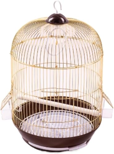 DancJulie IEP[W ی^fUC ߉\ Jt |[^u X^CbV  O\ pi CRXYɍœK (1)