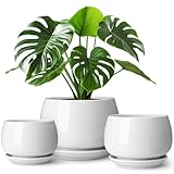 vancasso 3-Pack Ceramic Plant Pots, 3.7/4.8/6.2 Inch Indoor Planters with Saucers & Drainage Hole Planter pots for Indoor Plants and Flower, White