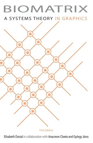 Biomatrix: A Systems Theory in Graphics