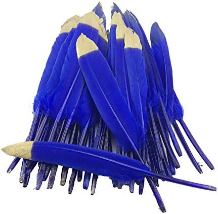 Colorful Gold Dipped Feather in Bulk for Craft Party Decoration Goose Feathers 20pcs/Pack/ (Grey) image 4