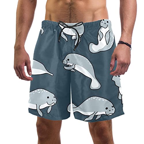 Maillots de bain pour hommes HadHfun : short de plage motif lions de mer