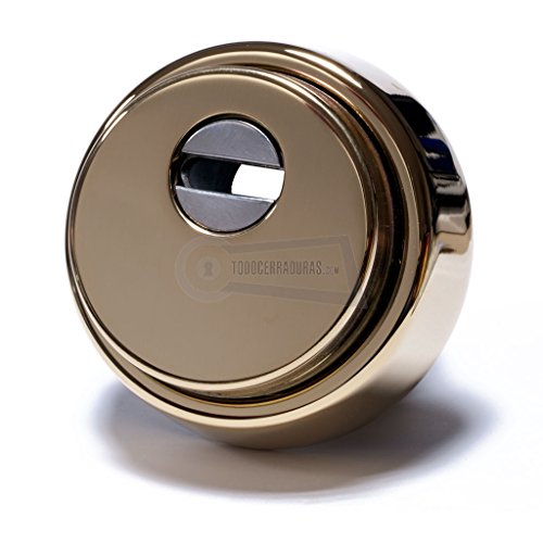 ESCUDO DE SEGURIDAD DISEC ROK ANTIGANZÚA Y ANTITALADRO. DORADO. BD280 29D1MR Cover