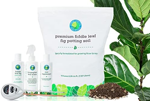 Ultimate Fiddle Leaf Fig Care Bundle