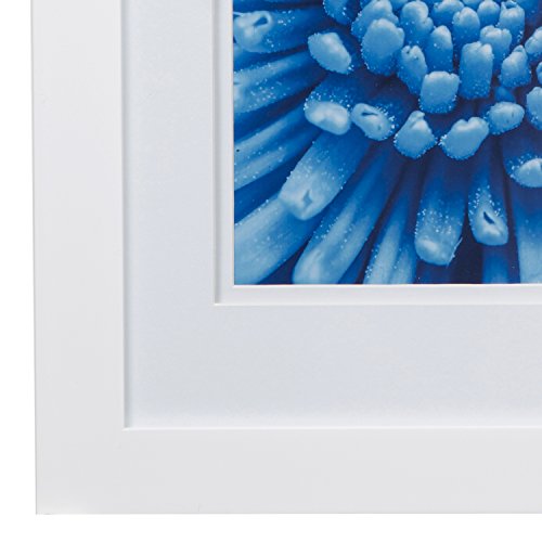 Gallery Solutions 11X14 Flat White Wall Frame With Double White Mat For 8X10 Picture #TOP3