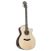 Taylor 914ce V-Class Grand Auditorium Acoustic-Electric Guitar