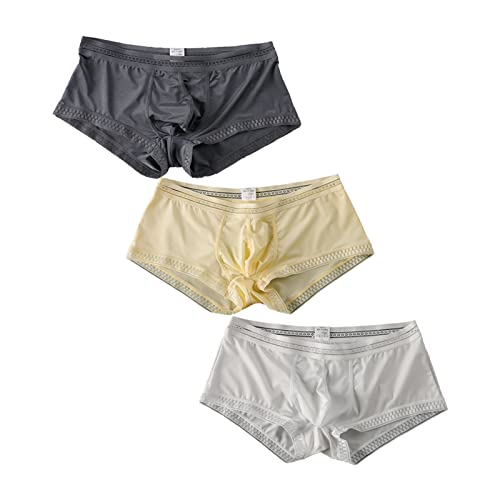 Ice Silk Lace Men's Low Waist U Convex Design Briefs Transparent Breathable Quick-drying Underwear