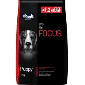 Drools Focus Adult Super Premium Chicken Dog Food Kibble, 12 Kg (+1Kg Extra Free Inside) , Total 13 Kg