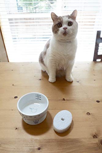 100均ダイソー 猫のお世話に使えるアイテム特集 買ってよかった リピ買い決定商品 のはらねこ