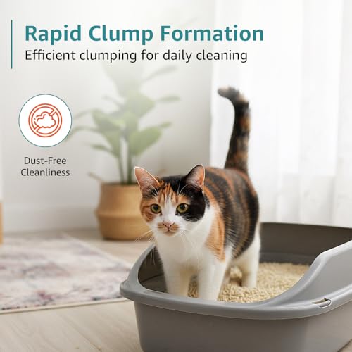 Image of Amazon Basics Premium Tofu Cat Litter | 2.5 Kg | Unscented | Organic | Biodegradable | Flushable | Dust-Free | Instant Clumping