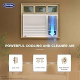 Carrier 1.5 Ton 5 Star Inverter Window AC (ESTRA Fxi) — view 4