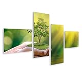 islandburner Bild auf Leinwand Hände Halten Baum Natur 