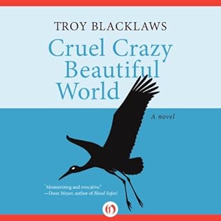 Cruel Crazy Beautiful World Audiobook By Troy Blacklaws cover art